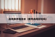 肉鸡散养殖技术(散养肉鸡好吃吗) 肉鸡散养殖技术(散养肉鸡好吃吗)