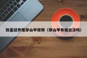 致富经养殖穿山甲视频(穿山甲养殖犯法吗) 致富经养殖穿山甲视频(穿山甲养殖犯法吗)